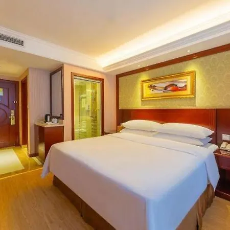 Hotel Vienna Wanda Branch